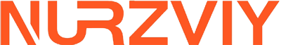 Nurzviy Energy logo